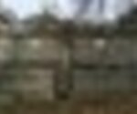tiny_thumb_IMG_2463__Medium_
