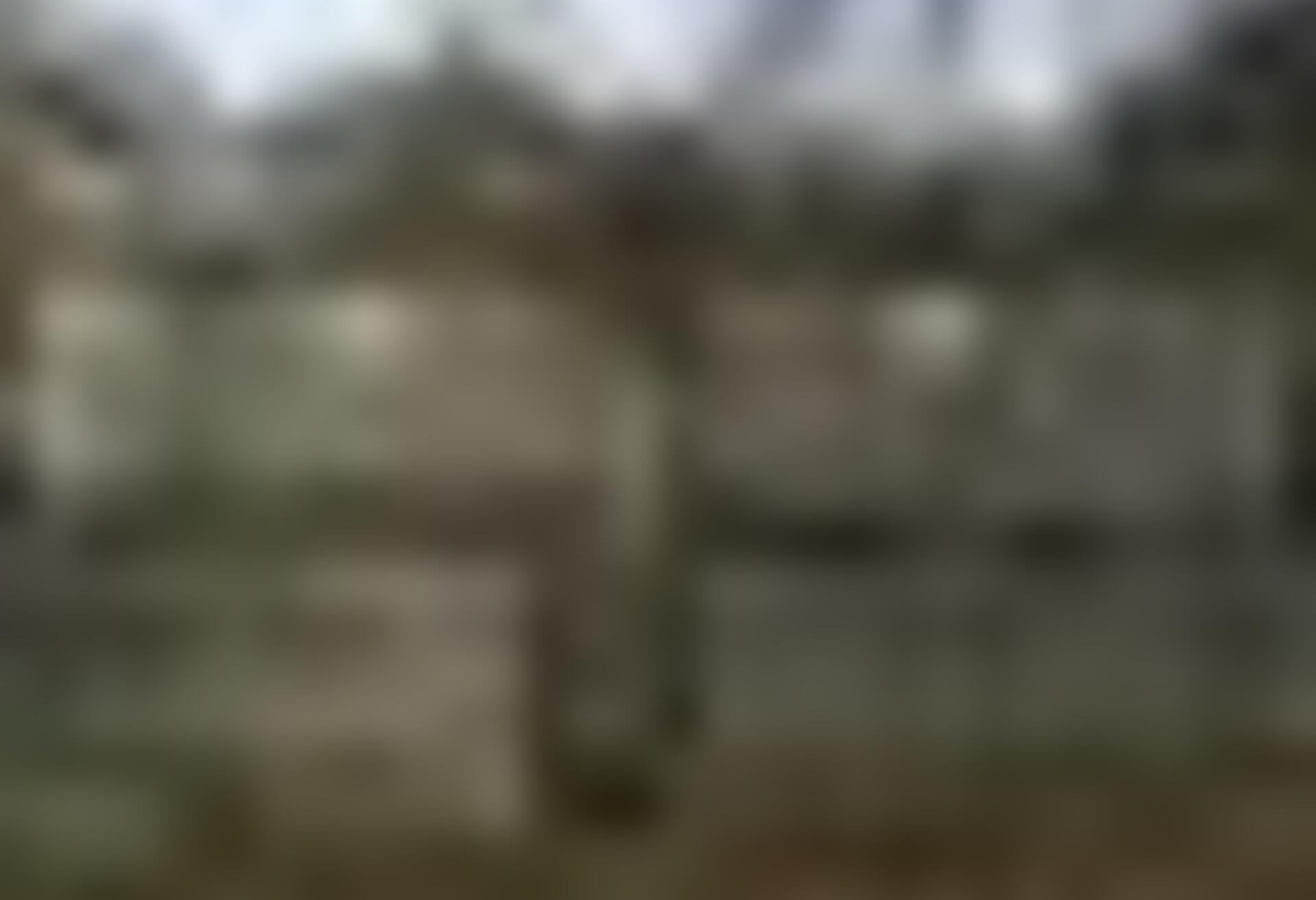 tiny_thumb_IMG_2463__Medium_