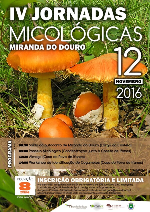 Cartaz_Final_1_980_2500