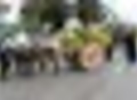 tiny_thumb_Festa_Serra_das_Velhas