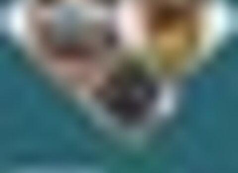tiny_thumb_expo_amavel_antao