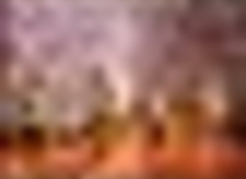 tiny_thumb_trilhos_am_flor_17_1_980_2500