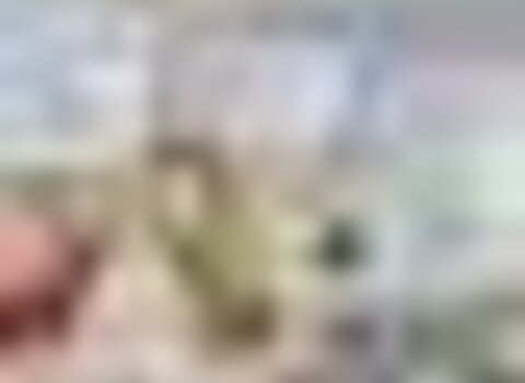 tiny_thumb_cartaz_sant_trindade