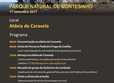 Dia_aberto_do_PNM__Medium_