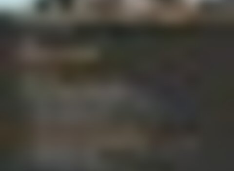 tiny_thumb_Dia_aberto_do_PNM__Medium_