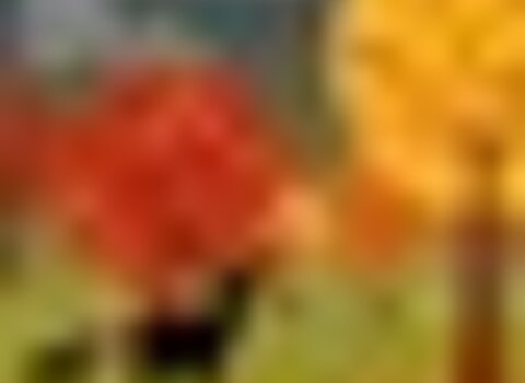 tiny_thumb_Brama_dos_Veados
