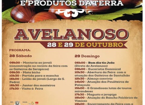 CARTAZ_castanha_2017__1_720_2500__Medium_