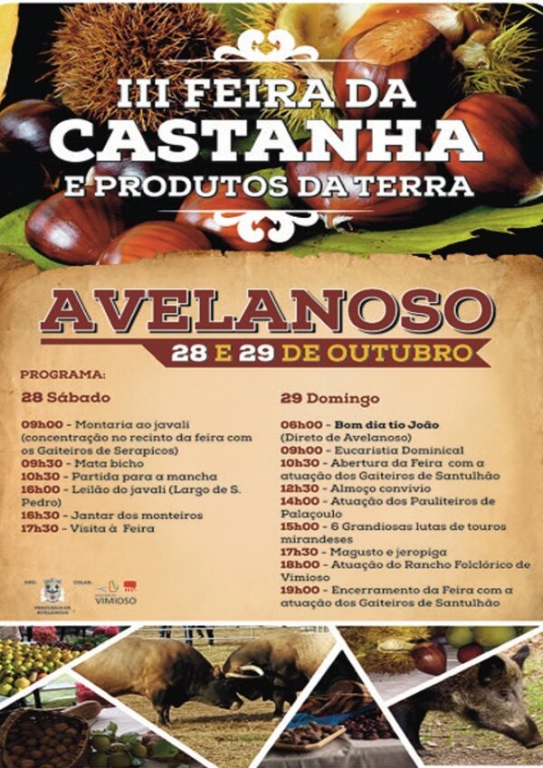 CARTAZ_castanha_2017__1_720_2500__Medium_