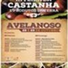 thumb_CARTAZ_castanha_2017__1_720_2500__Medium_