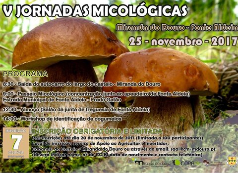 jornadas_micol_gicas__Medium_
