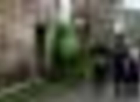 tiny_thumb_festa_do_velho_e_da_galdrapa