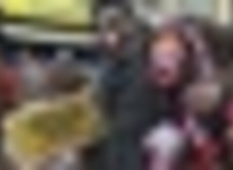 tiny_thumb_velhos_de_Bru__