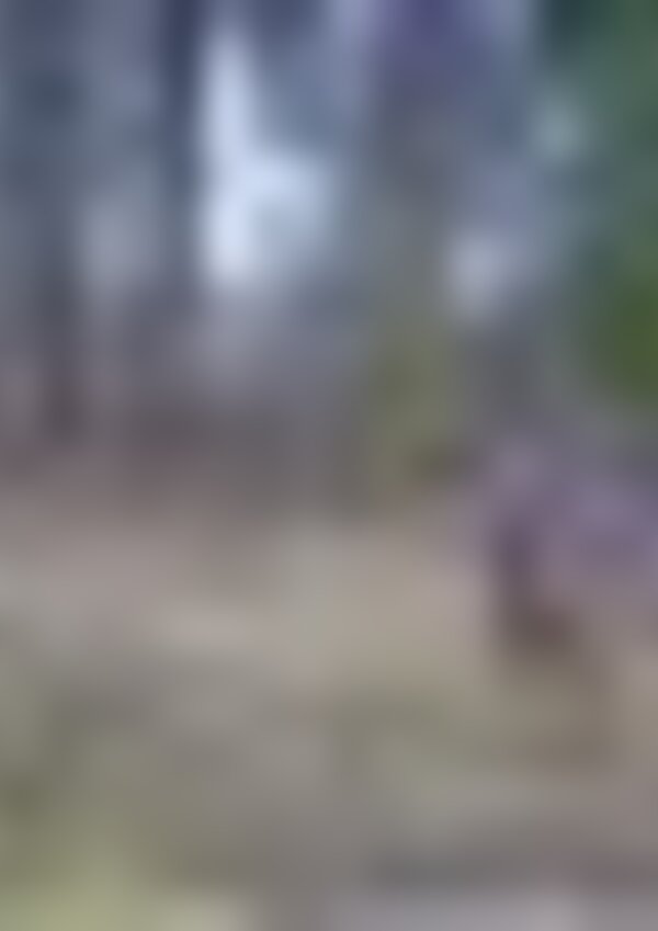 tiny_thumb_iberian_wolf_expedition__Medium_