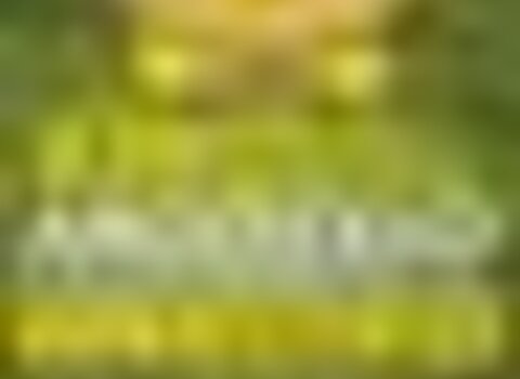 tiny_thumb_feiradarosquilha