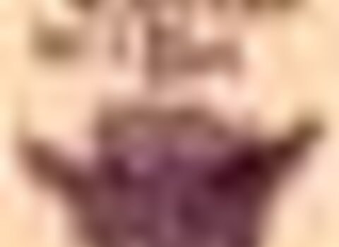 tiny_thumb_por_tierras_del_rei
