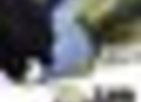 tiny_thumb_Passeio_S