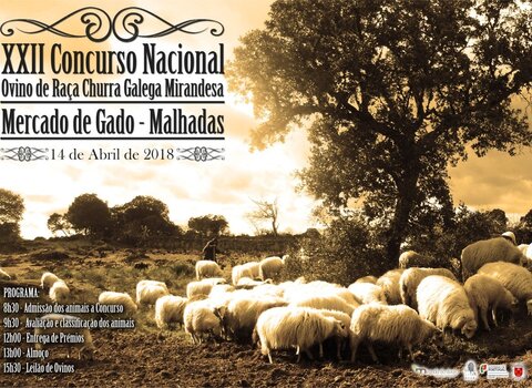 Ra_a_Churra_2018__Medium_