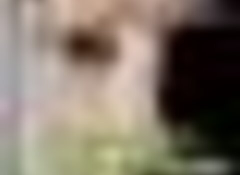 tiny_thumb_expo_CACGM