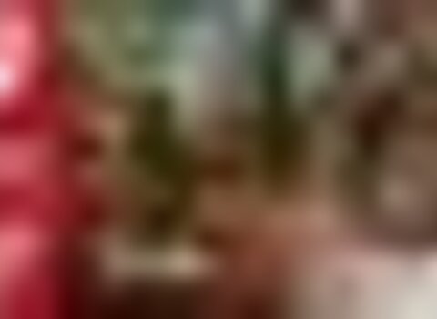 tiny_thumb_Vinhais_btt__Medium_