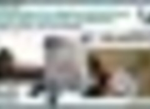 tiny_thumb_Workshop_Introd_Monit_Est_Mam