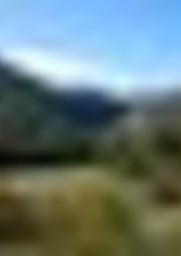 tiny_thumb_Paisagem_Baceiro__Medium_