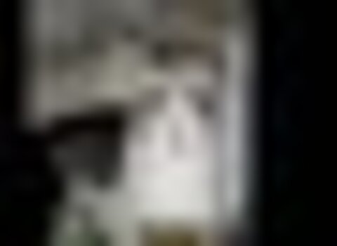 tiny_thumb_ros_rio_p_voa