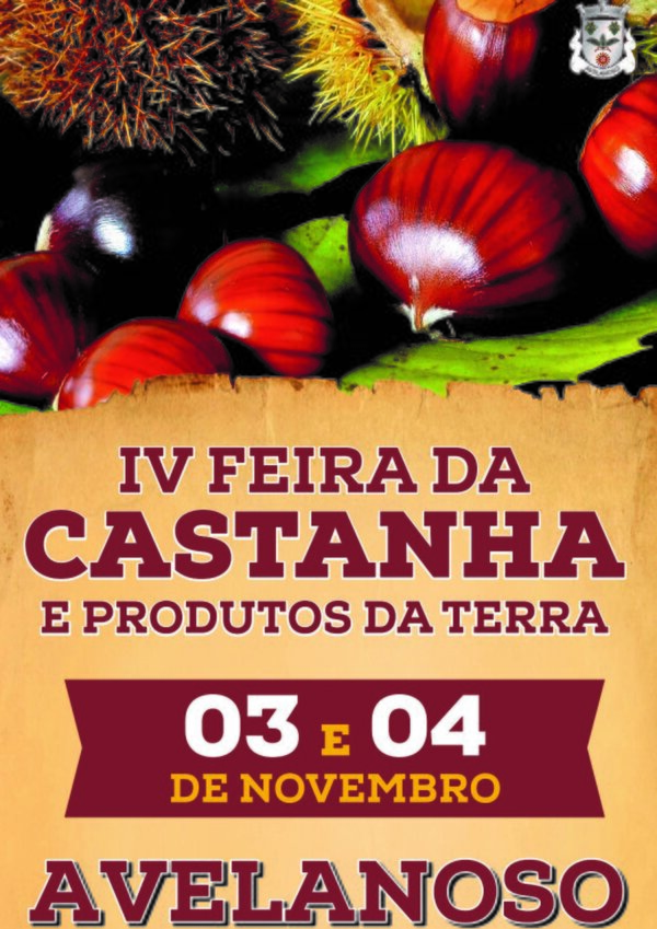 IV_feira_castanha_avelanoso