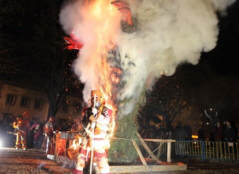 Carnaval_caretos_BGC_Expresso__Medium_