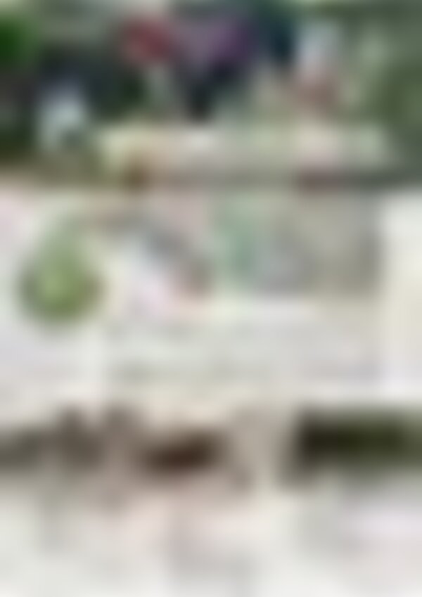 tiny_thumb_percursopedestre__Medium_