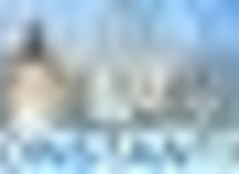 tiny_thumb_8SENHORA_DA_LUZ