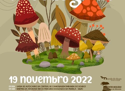 cartaz_definitivo__1_980_2500