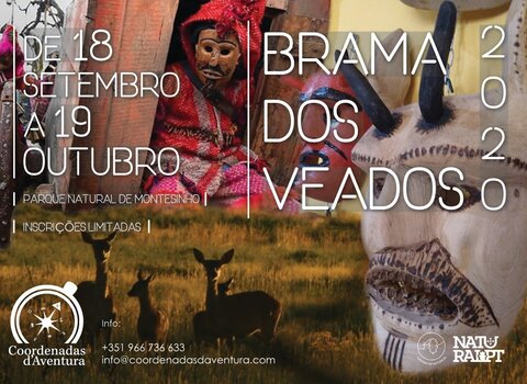 brama_2020_coordenadas__Medium_