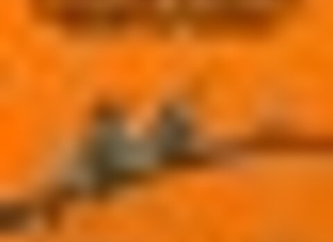 tiny_thumb_passeio_primavera_2021