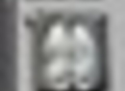 tiny_thumb_213792640_4080880331967683_6786211918139369530_n