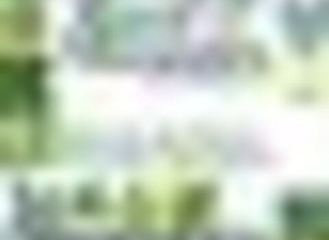 tiny_thumb_dezembro_novo_1_980_2500