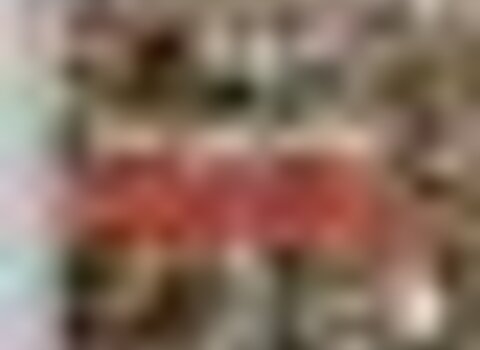 tiny_thumb_cartaz_expo_distopia_1_1024_2500