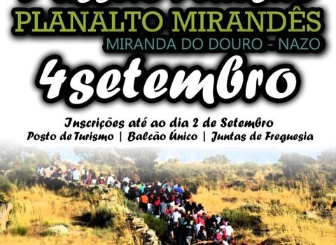 cartaz__14__1_980_2500__Medium_