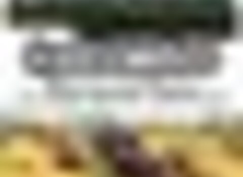 tiny_thumb_cartaz__14__1_980_2500__Medium_