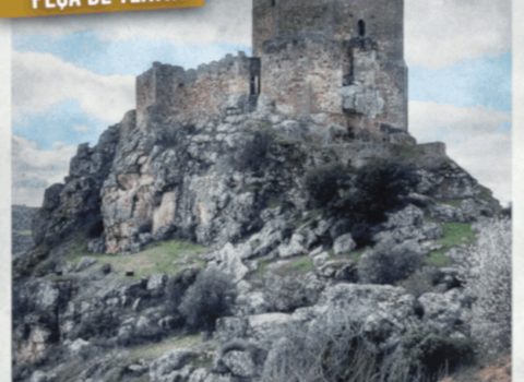 cartaz_algoso111_1_720_2500__Medium_