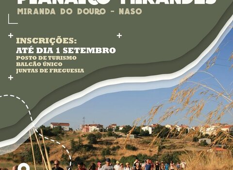 cartaz__58__1_980_2500