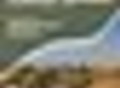 tiny_thumb_cartaz__58__1_980_2500