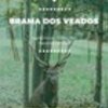 thumb_brama_dos_veados_2023_poster