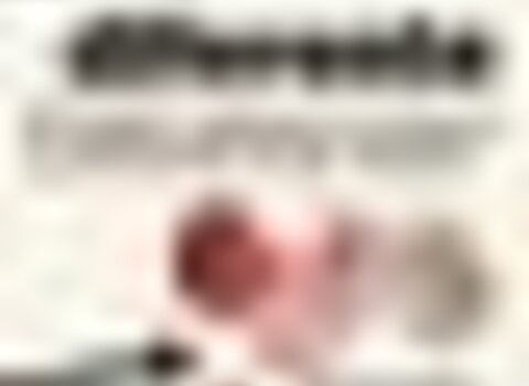 tiny_thumb_versao2_cartaz_exp