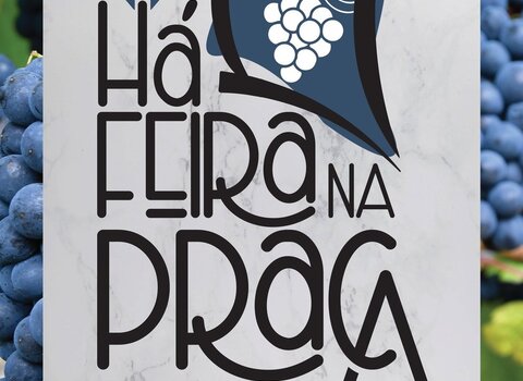 cartaz__1__1_980_2500