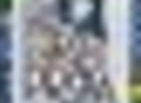 tiny_thumb_cartaz__1__1_980_2500