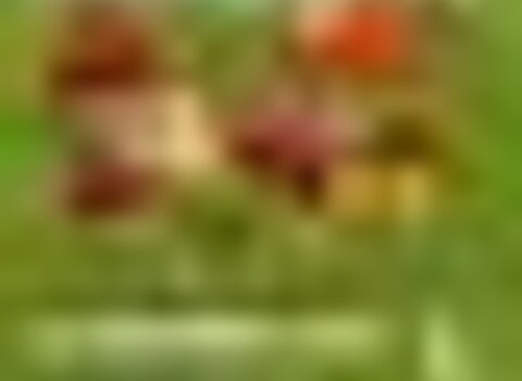 tiny_thumb_cartaz_ix_jornadas_micologicas__1_980_2500