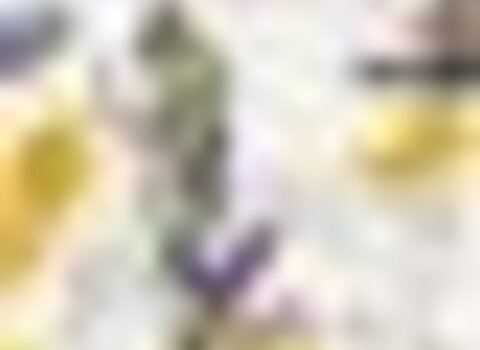 tiny_thumb_cartaz_exposicao_gady_2023_1_980_2500