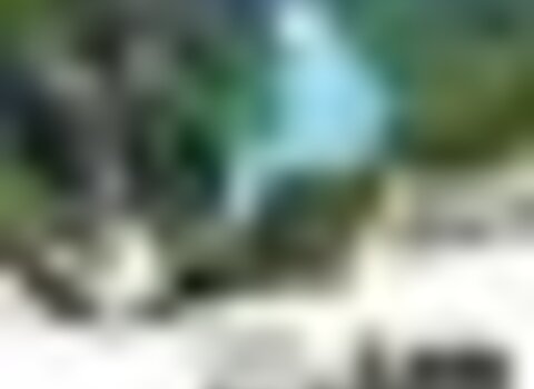 tiny_thumb_cartaz2024__2__1_980_2500