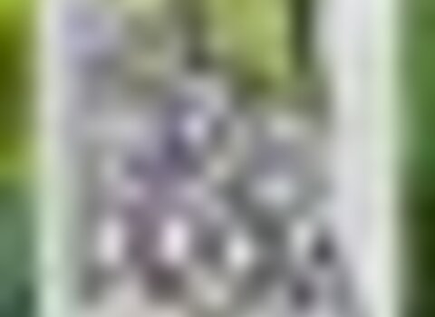 tiny_thumb_cartaz24_1_980_2500