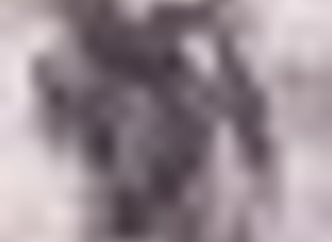 tiny_thumb_mupi2_1_980_2500